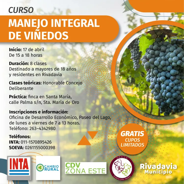 VIÑEDOS 1