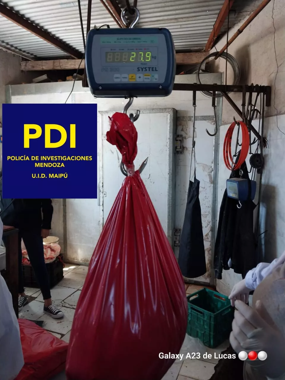 53eae4e9-45fc-4006-91e2-7bf3f8796ea7