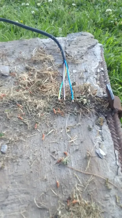 WhatsApp Image 2023-10-27 at 13.46.13