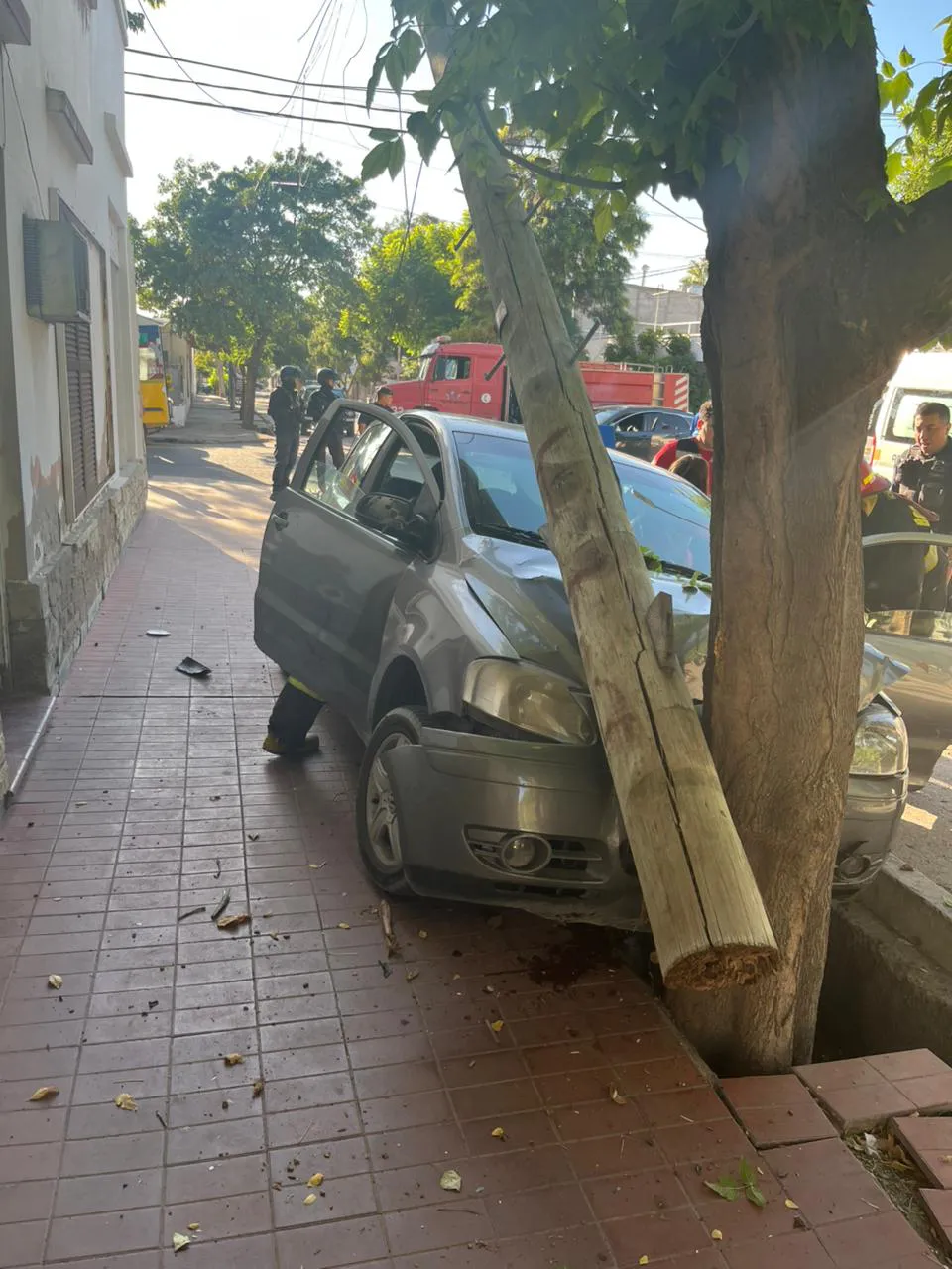 WhatsApp Image 2026-02-13 at 08.50.45