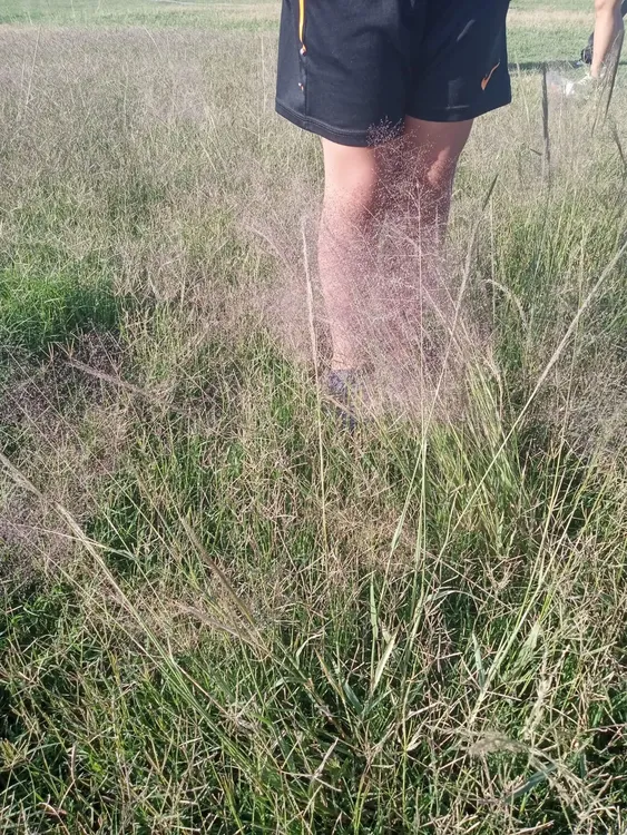 ef4ec273-73ad-44c1-8376-7d2cfd9e2136