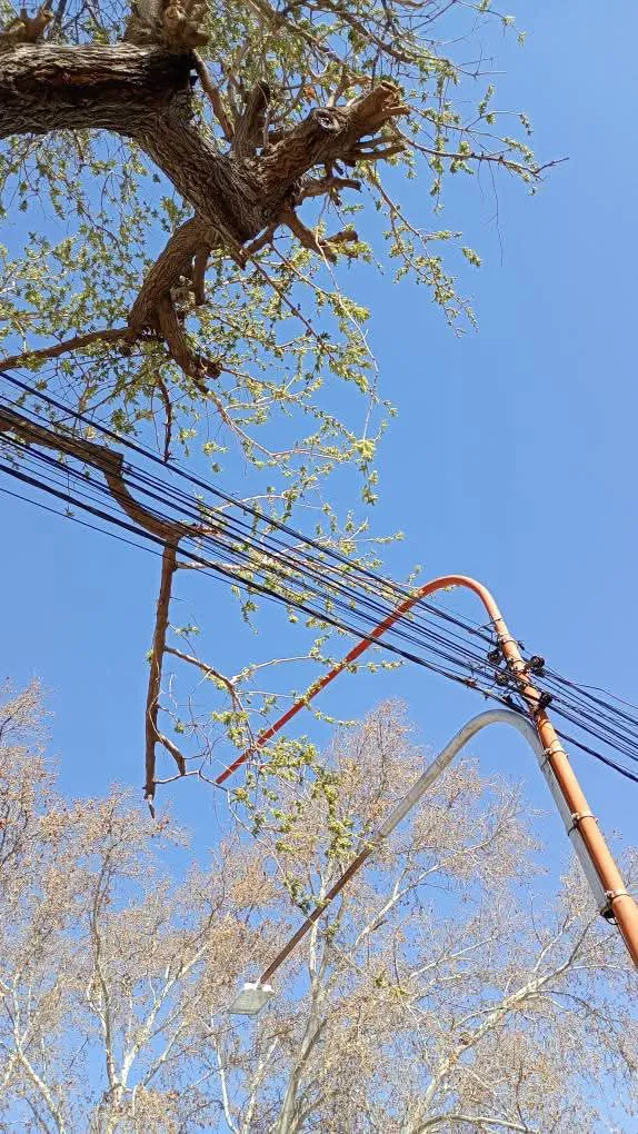 WhatsApp Image 2025-09-26 at 20.26.46