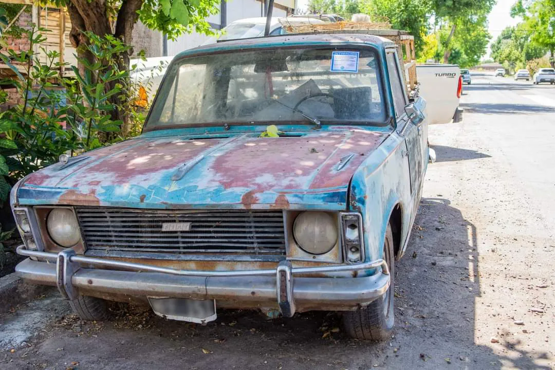 FB_IMG_1733333003742