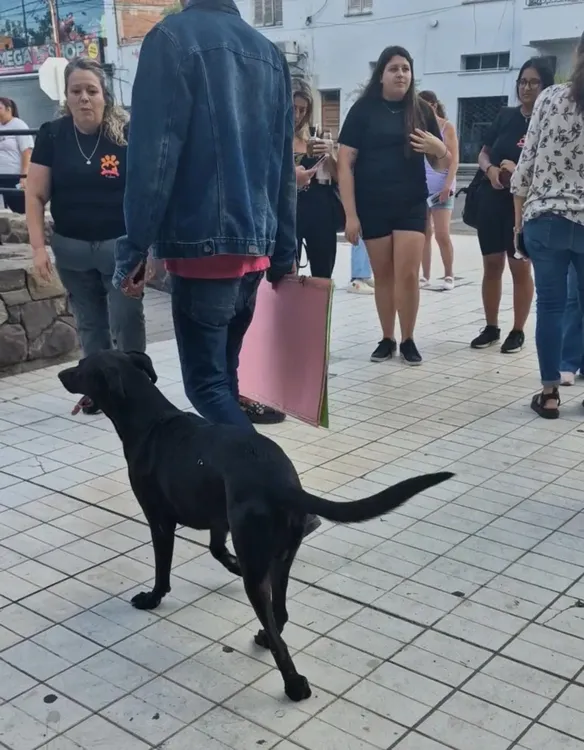 WhatsApp Image 2026-02-20 at 09.17.38