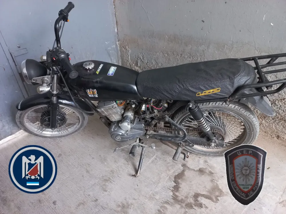 WhatsApp Image 2025-03-28 at 14.38.10