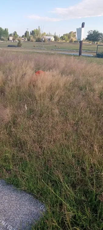 d542b33f-1075-4071-8ab9-5408b9cc15d7