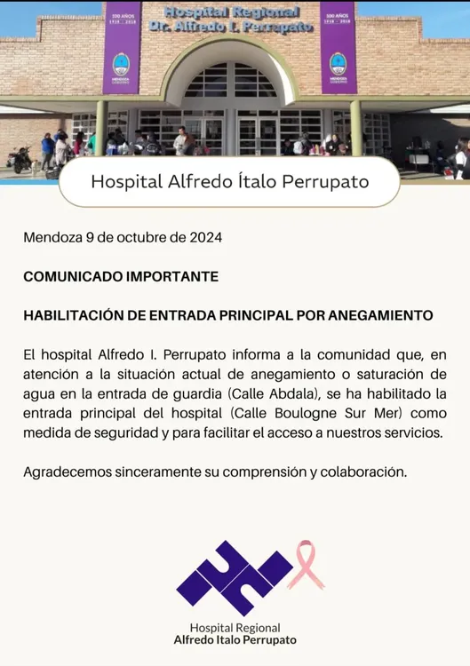 462629874_1324055009015786_6423629135486456643_n