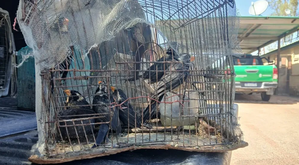 aec15497-b032-4a7d-b247-0b630b17c94b