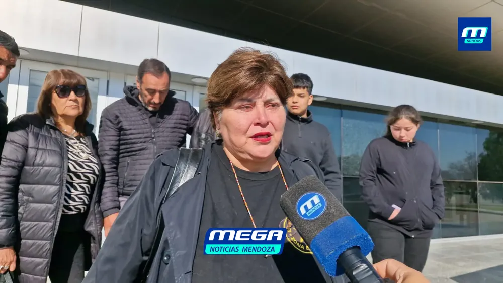 MEGA (3)