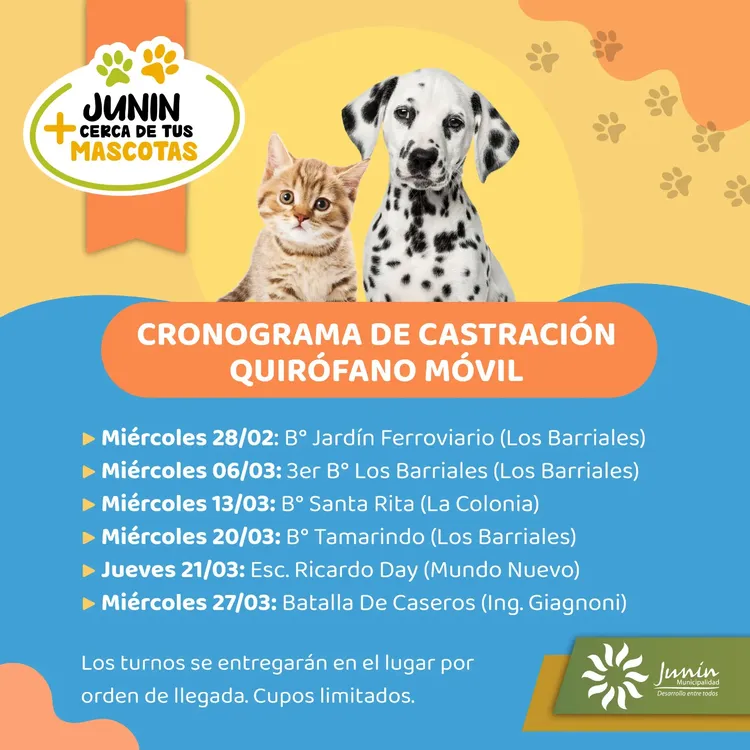 JUNÍN INICIARÁ UNA NUEVA CAMPAÑA DE CASTRACIÓN Y VACUNACIÓN PARA FELINOS Y CANINOS
