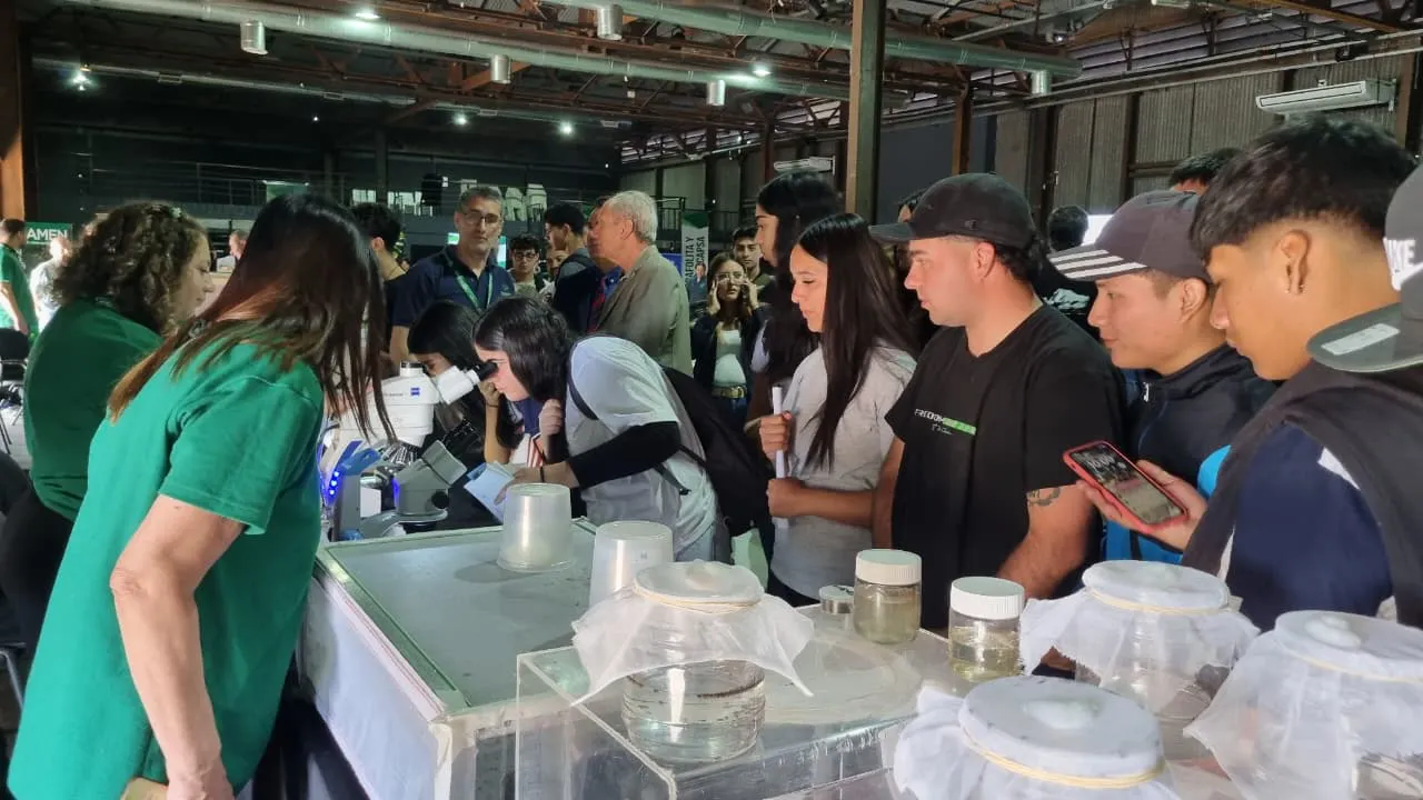 WhatsApp Image 2025-10-06 at 09.14.11 (1)