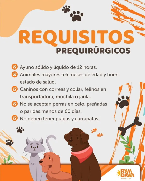 644542141_1460532866113569_7682866952008437311_n