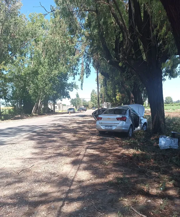 WhatsApp Image 2026-02-02 at 14.12.03