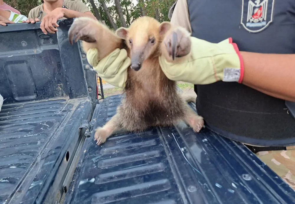 WhatsApp Image 2024-03-12 at 21.59.00