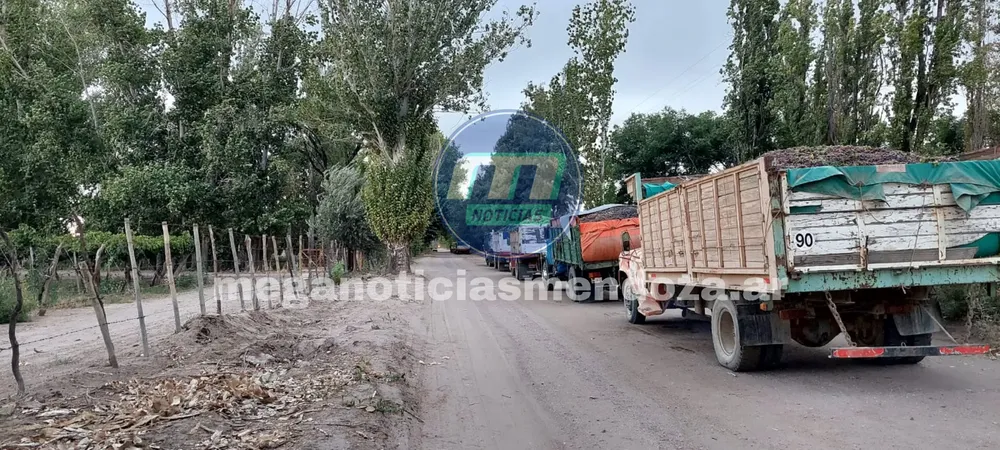 camion de cosecha
