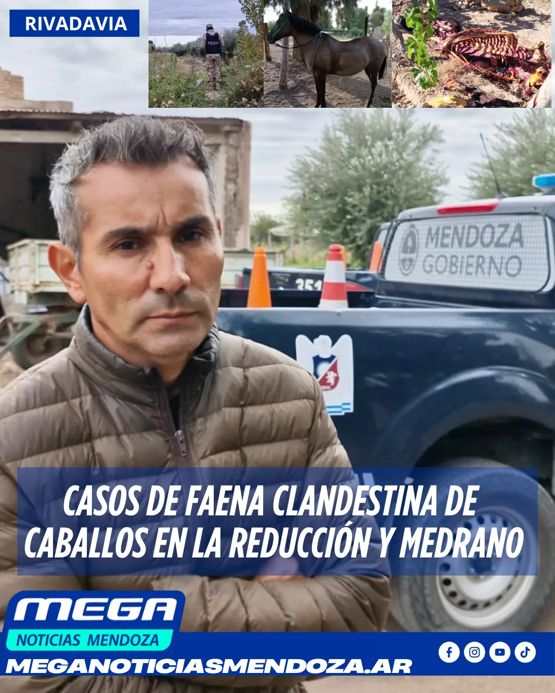 faenados