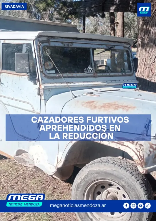 furtivos