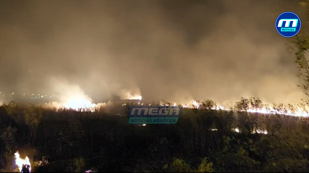 incendio campo fuego