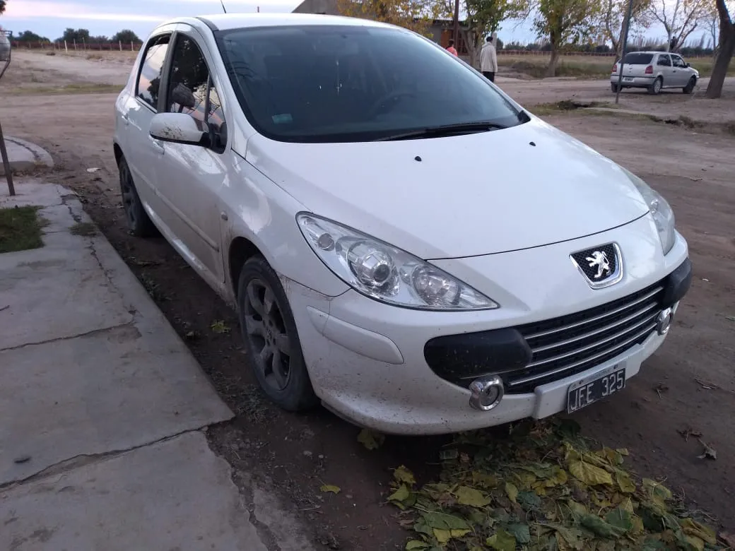 WhatsApp Image 2024-08-18 at 01.14.39