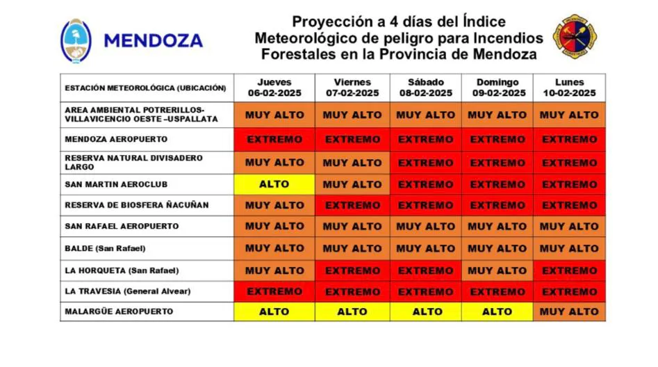 WhatsApp-Image-2025-02-07-at-09.40.11