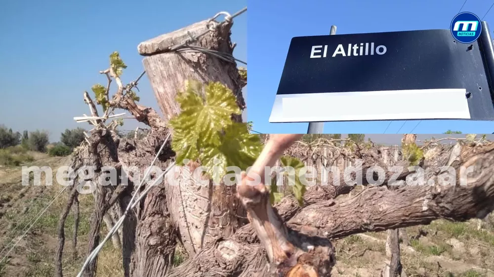 finca el altillo (1)