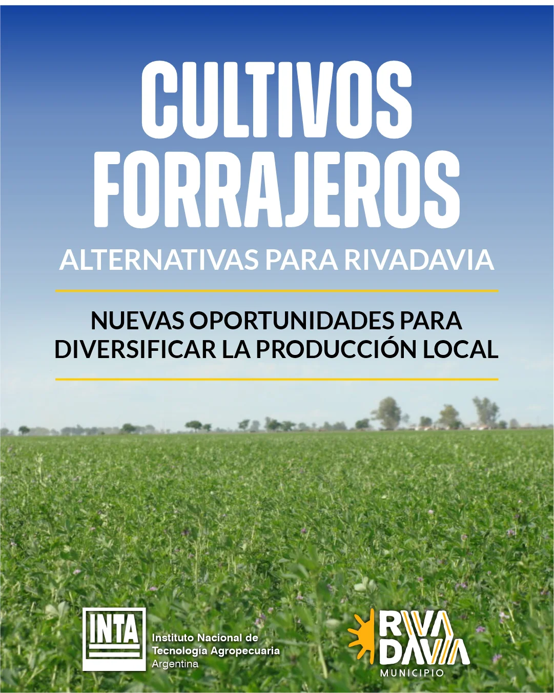 cul forr 1