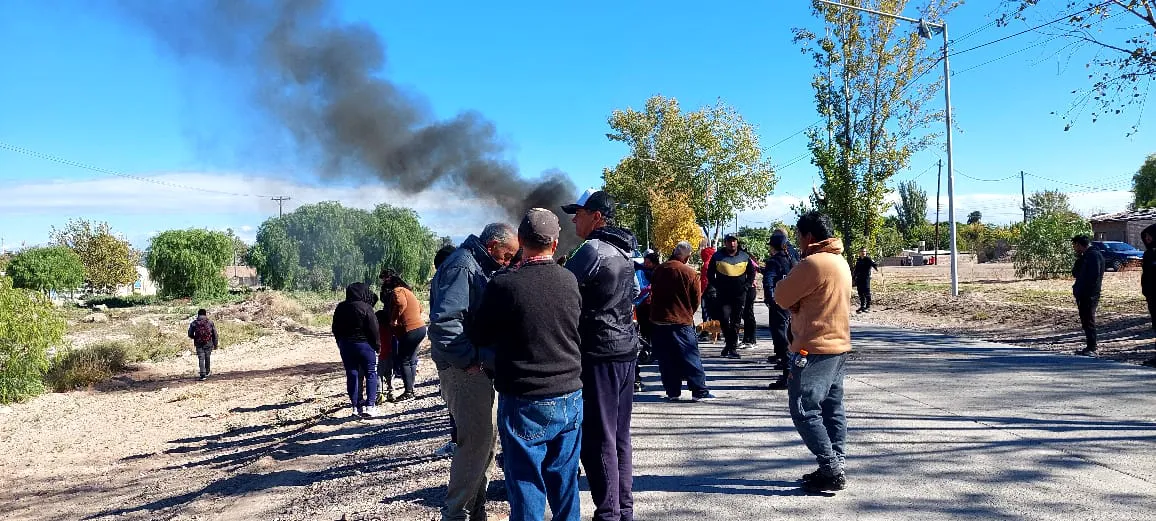 WhatsApp Image 2024-05-08 at 11.50.35