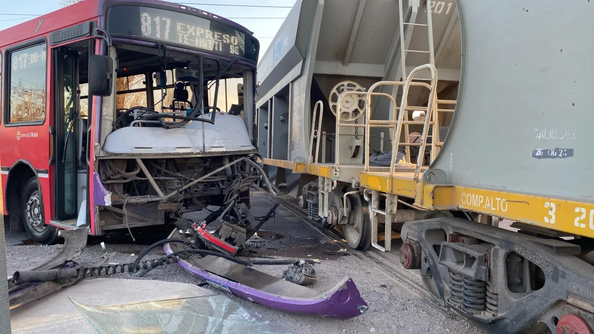 WhatsApp-Image-2024-07-29-at-08.54.53-scaled