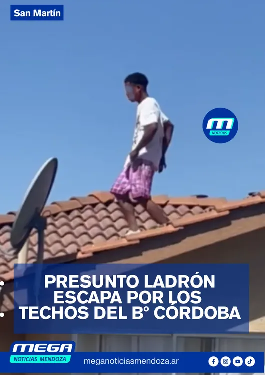 techos