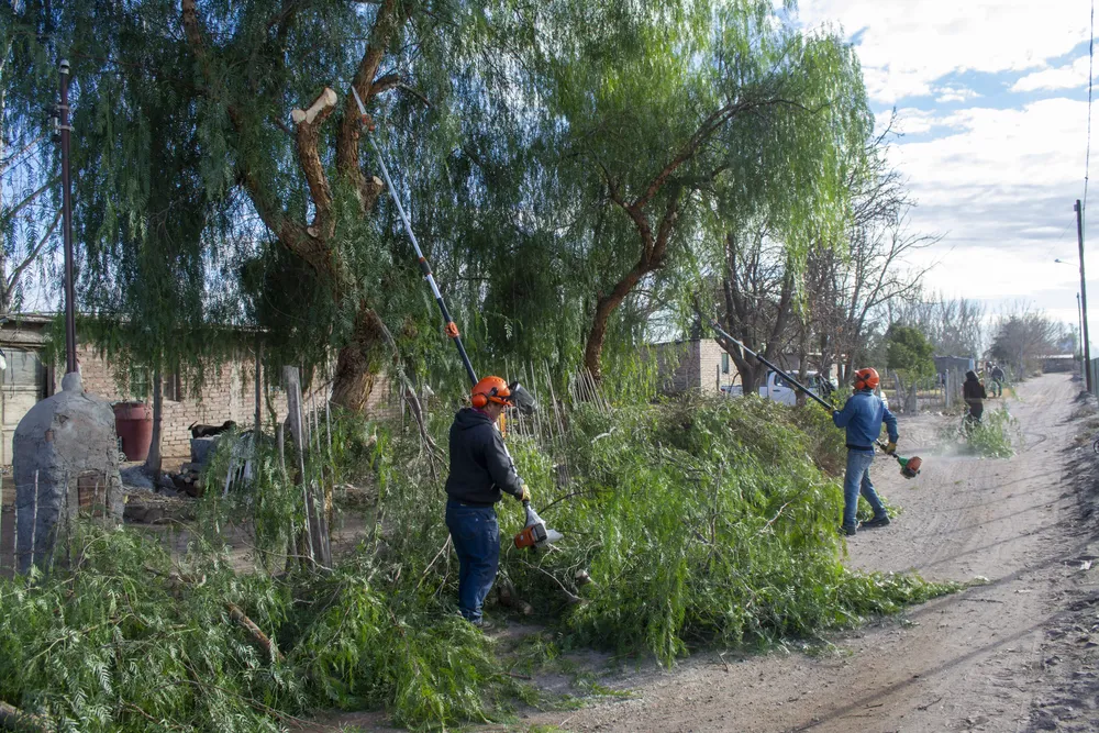Poda y Luminarias Callejon Arroyo-0171