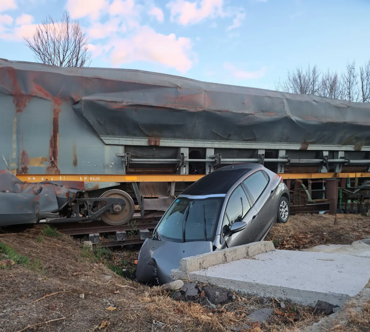 WhatsApp-Image-2024-06-19-at-08.49.00-copia