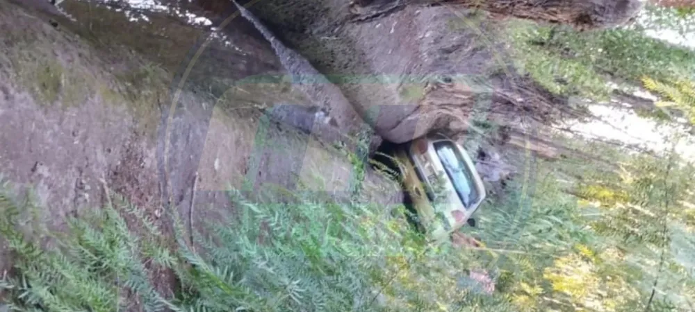 a_20241222_215153_0000