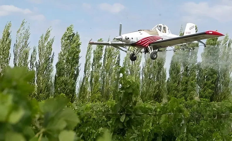 WhatsApp Image 2025-08-07 at 19.35.45