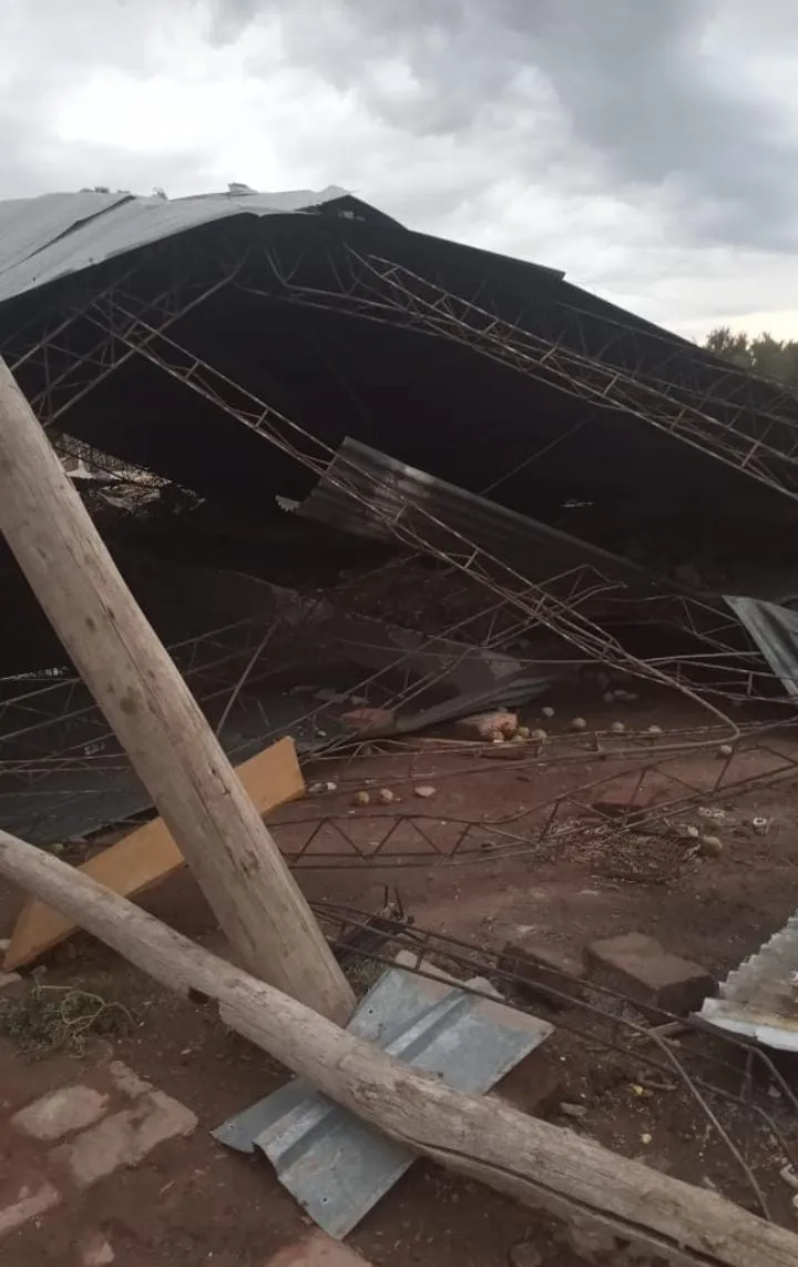 WhatsApp Image 2025-02-24 at 10.56.26