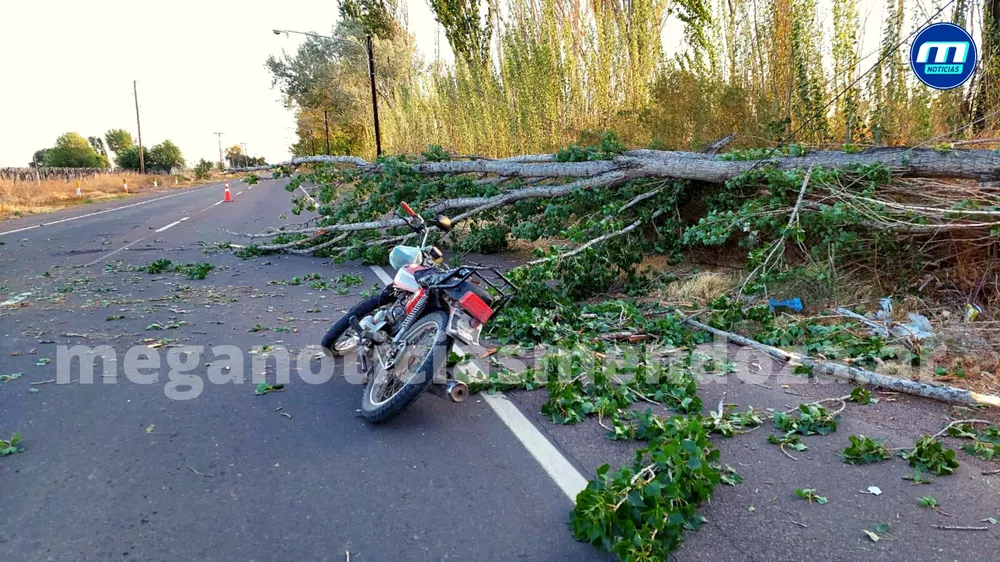 png_20221008_081319_0000