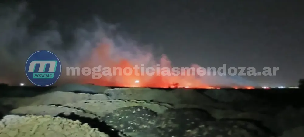 a_20251121_073922_0000