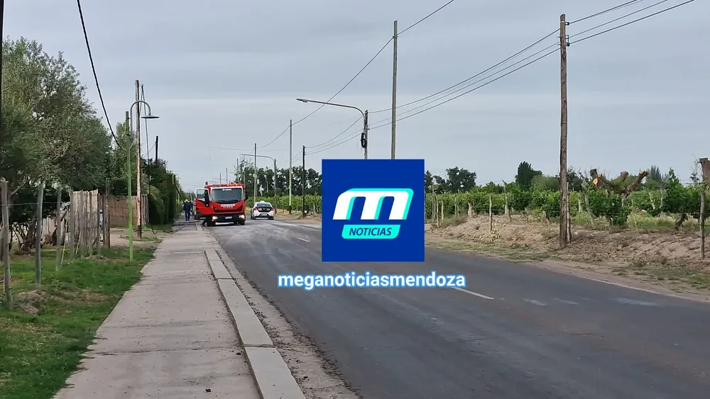 FB_IMG_1763420353566