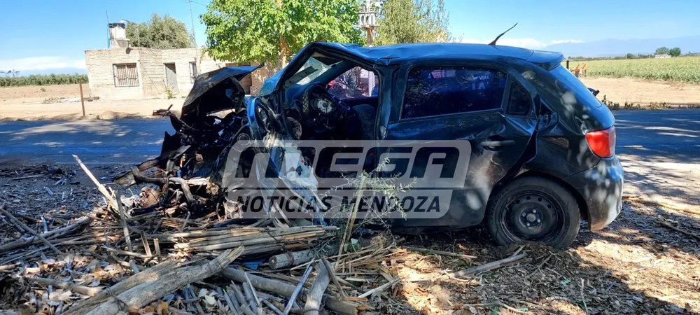 estéreo_20231105_114453_0000