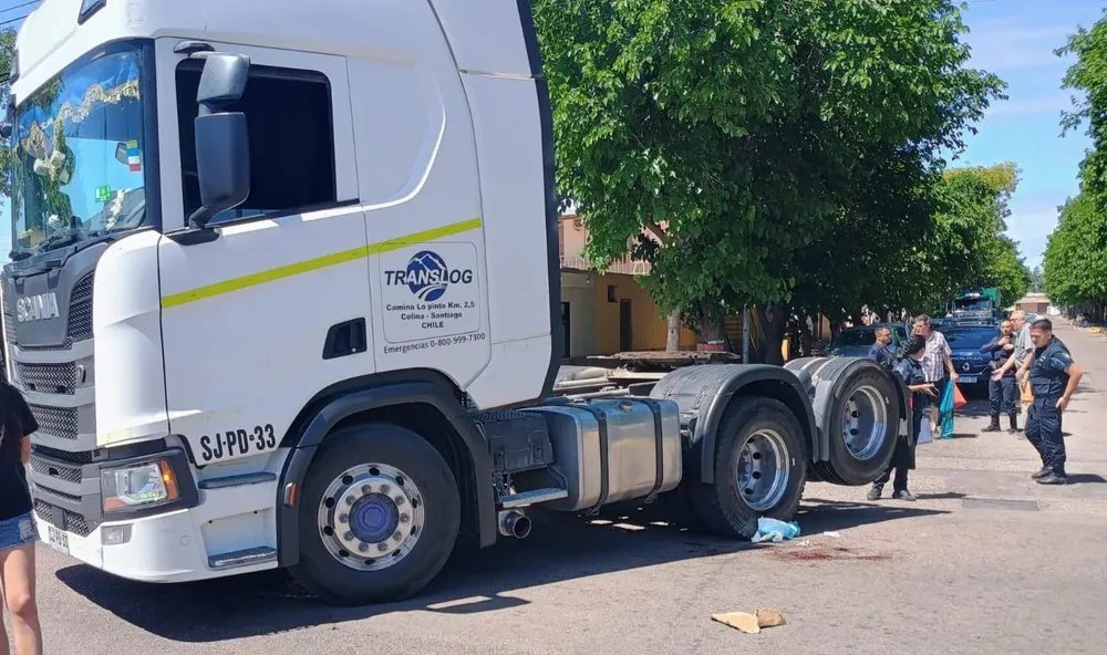 WhatsApp Image 2024-11-03 at 13.54.43 (1)