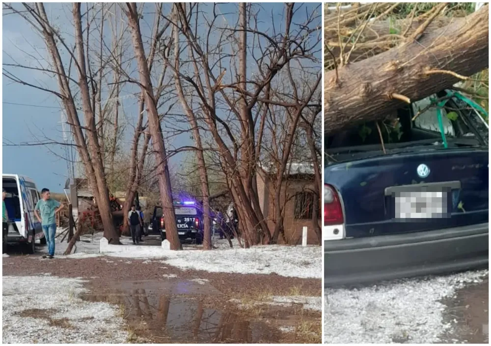 FotoJet-2025-01-23T193744.908