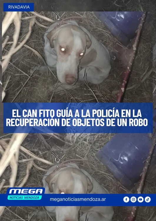 FITO