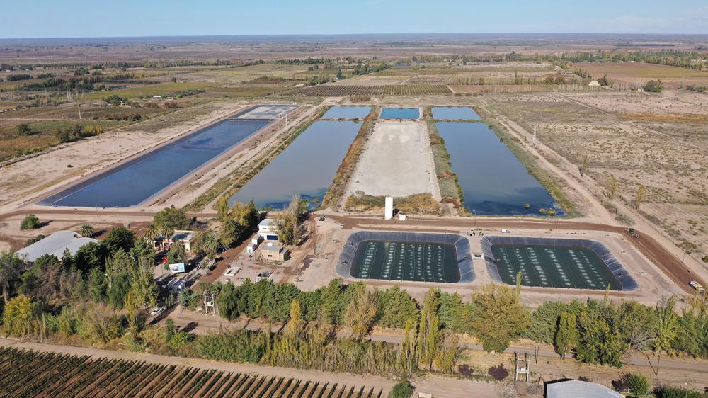 org_cea42d00a00a8adc_1650835404000