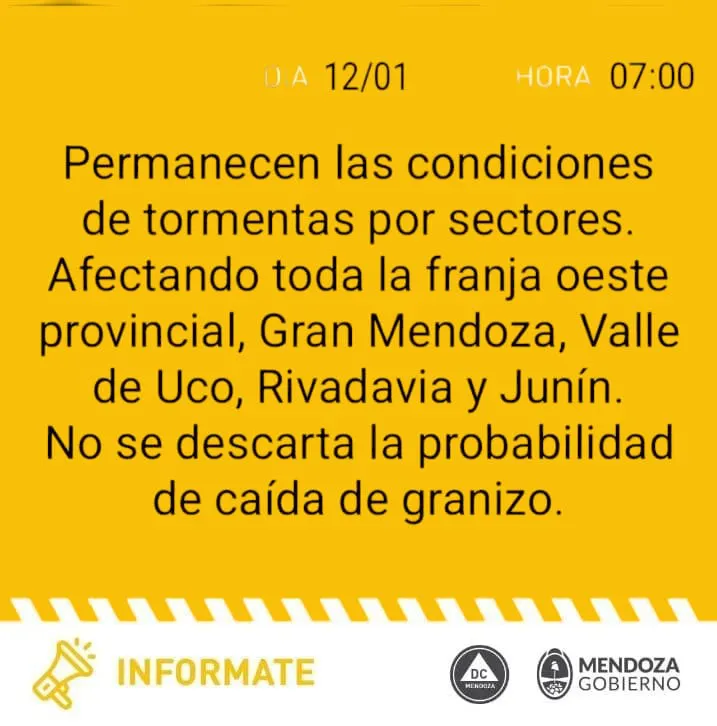 WhatsApp Image 2025-01-12 at 08.47.45