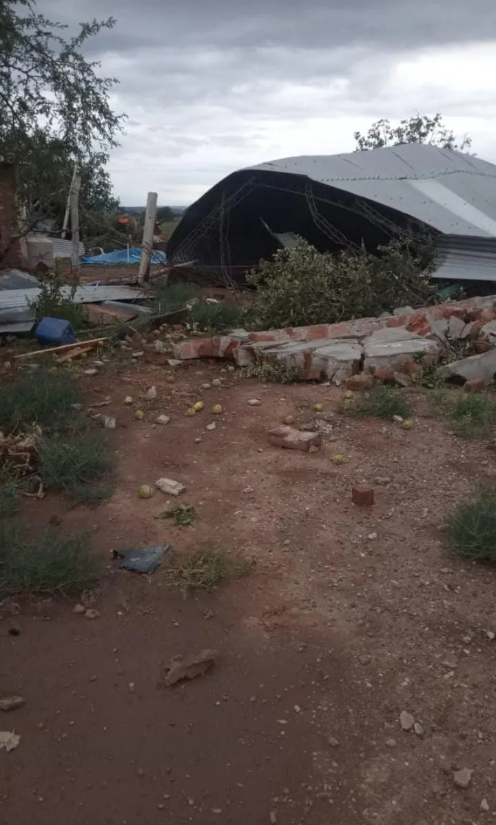 WhatsApp Image 2025-02-24 at 10.56.25