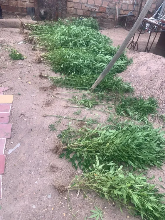 WhatsApp Image 2024-12-27 at 23.03.58