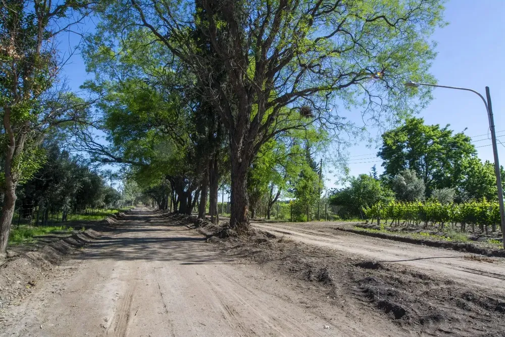 464759572_18356484538136158_2030806243509788874_n