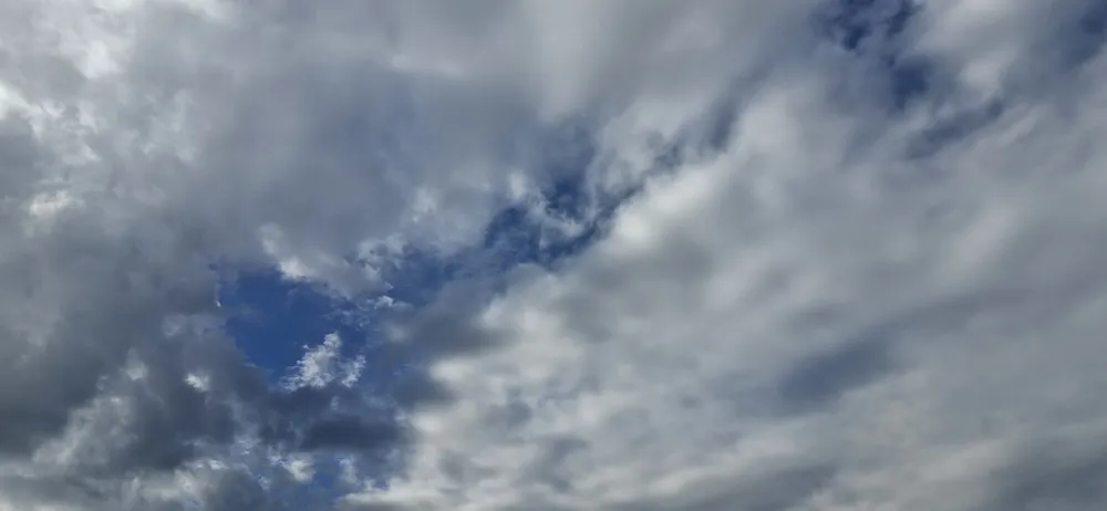 WhatsApp Image 2026-01-29 at 09.36.32