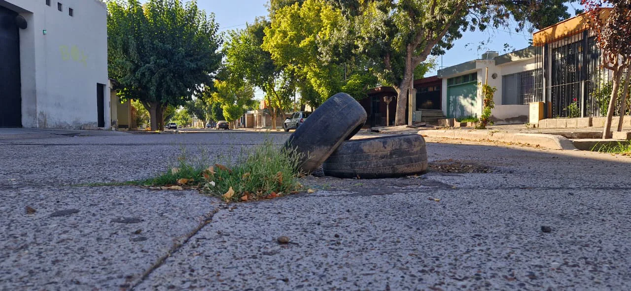 WhatsApp Image 2026-03-03 at 18.47.33