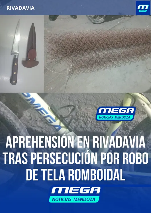 tela