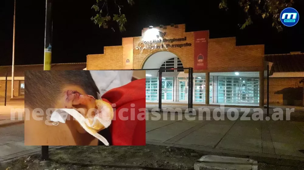 hospital perrupato (1)